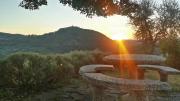 Agriturismo podere sanvincenzo