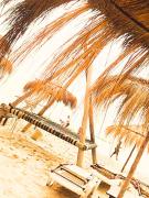 Top Hammamet