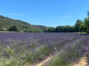 Top Allemagne-en-Provence