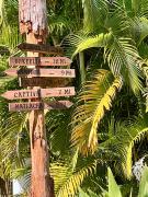 Top Saint James City