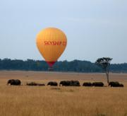 Top Musiara Campsite