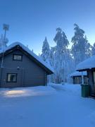 Pusikko - Cozy Lake Villa - Ice Swimming - Sauna - Fireplace - Barbeque Shed