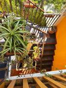 Top San Juan La Laguna