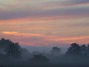 Top Smołdziński Las