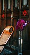 Top Lijiang