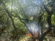 Naartjies Bush Camp