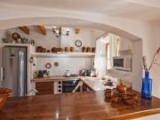 Top Sineu