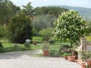 Top Siena