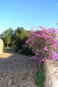 Top Cala Liberotto
