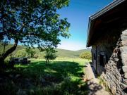 Top Carucedo Top Carucedo