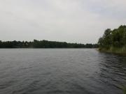 Top Kolonia Łaczewna