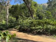 Top Vagamon