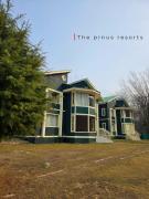 The Pinus Resort