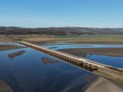 Ye Olde Fighting Cocks