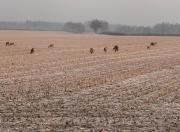 Chambre d hôtes dans un domaine au calme proche du Pal