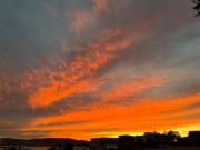 Top San Juan Cosalá