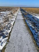 Ferienwohnung Watt n Deichblick