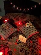 La parenthèse secrète