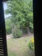Top Córdoba