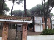 Top Rosolina Mare