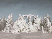 Rentola Lapland a peaceful and cozy cottage