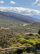 Top McGregor