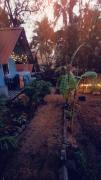 Green Garden Resort