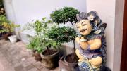 Top Sanur Top Sanur