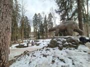 Apartament Jelonek Zdrój