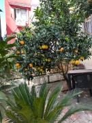 Top Tirana