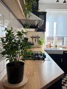 Basil Street Apartment - free parking