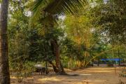 Top Alleppey