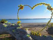 Top Porto SantʼElpidio