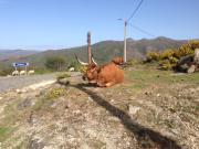 Top Entre Ambos os Rios