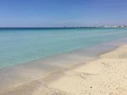 Lapillo Free your mind