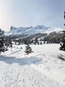 appartement chalereux au pied des pistes