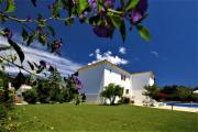 Top Skiathos Town