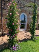 Top Monteroni dʼArbia