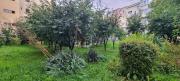 Top Cluj-Napoca