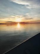 Eco hostal El Viejo Bosque