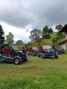 Top Guarne