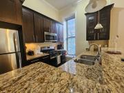 Gold Coast DOWNTOWN CHICAGO Sleeps 20