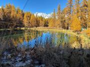Top Puy-Saint-Vincent