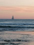 Appartements neufs, plage à 5 min, au calme le Grau dAgde