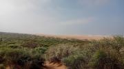 Top Ounagha