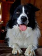 Mittagsspitz am Bauernhof