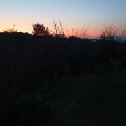 Top Volterra