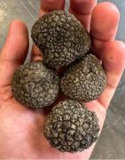 Top Torre le Nocelle