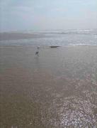 Ground floor apartment by the sea just 15 minutes from Torres