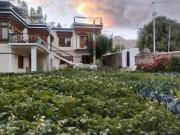 Top Leh
